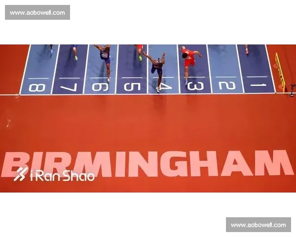 奥运会与各类国际赛事差异比较及其竞技文化影响深度解析全面研究 - 副本 (2)