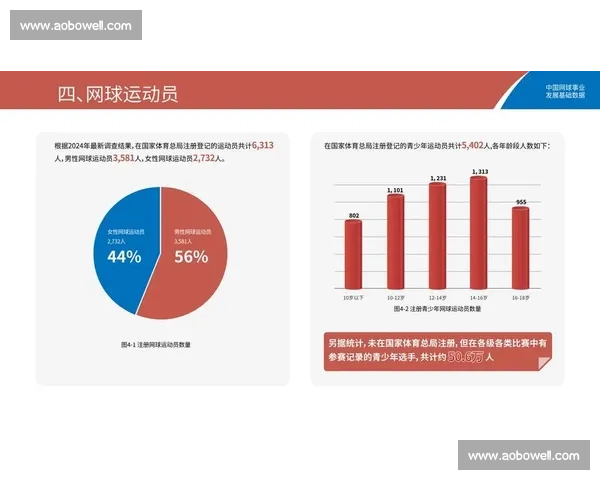 基于体育比赛数据分析的趋势预测与策略优化研究 - 副本 - 副本